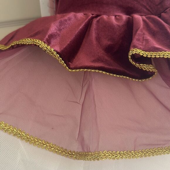 ELISSE Womens Ballet Velvet Platter Tutu Dress! - Picture 15 of 16